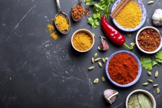 Set of Indian food cooking ingredients. Traditional Indian assorted spices and herbs. Curry,