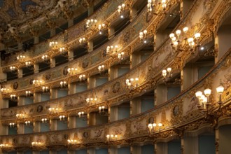 Interior view, theatre, Teatro La Fenice, Venice, Veneto, Italy