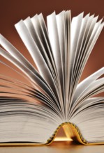 Composition with books on the table