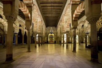 Hypostyle Prayer Hall in the Mezquita (The Great Mosque) with columns of jasper, onyx, marble, and