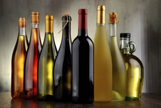 Composition with assorted bottles of wine