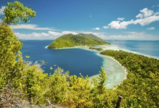Photo of clear blue sea and greenery of Kri island, Raja Ampat, West Papua, Indonesia. In this