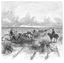 Agriculture in Dakota, USA: Reaping. Image source: Harpers Monthly magazine march 1880
