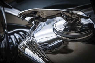 Close-up of an old Jaguar automobile emblem