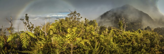 Panoramic photo of mountains covered by fog with rainbow in Digne in Kubor range, Papua New Guinea.