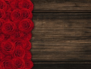 Red beautiful roses over wooden background