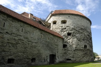 Fat Margarethe, Tallinn, Estonia