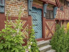 Small rustic house with blue wooden door and green plants in the entrance area, svaneke, bornholm,