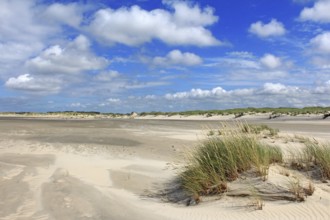 Sand dunes on the beach. of Norderney, East Frisia, Lower Saxony, Federal Republic of Germany