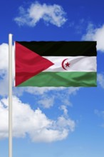 Africa, North Africa, Western Sahara, national flag, national flag, flag, flagpole, cumulus clouds