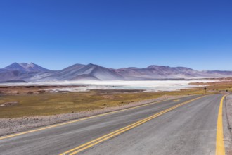 Atacama Desert, Chile. Salar Aguas Calientes. Lake Tuyacto. South America