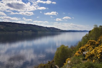 Lookout over Loch Ness with reflections of clouds, Scotland Scotland
