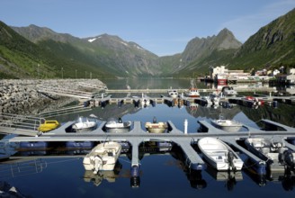 Marina in Gryllefjord, Senja, Troms, Norway