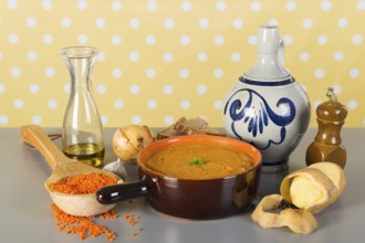 Home made vegetarian lentil soup with ingredients