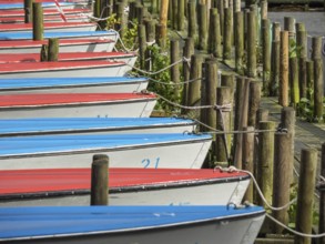 Several boats in red and blue moored at a jetty in the harbour, Bad Zwischenahn, ammerland, germany