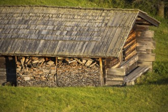 Alpine hut on alpine pasture, Alpe di Siusi, Italy