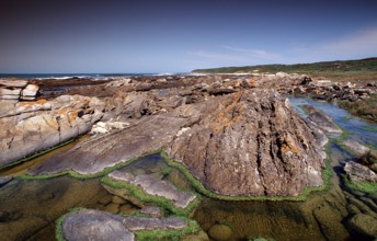 Rocky coast, South Africa, Port Elizabeth, Ibhayi