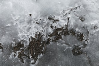 Nature, melting ice pattern, Province of Quebec, Canada