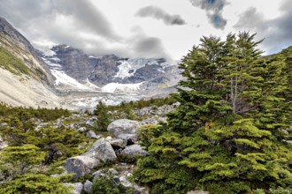 Trees and rocks with snowy mountains in the background under a cloudy sky, The landscape of Torres