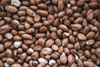 A Background Image Of Raw Peanuts