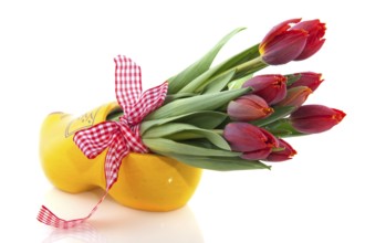 Dutch national products with clogs and tulips