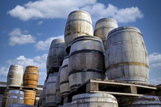 Old wine barrels