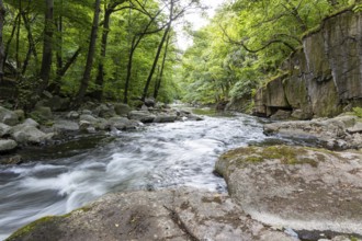 Impressions from the Bodetal Thale