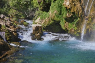 Rapids flowing between moss-covered rocks, accompanied by a small waterfall in the background,