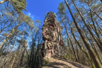 Geiersteinfelsen, Geierstein, Palatinate Forest, Bruchweiler-Bärenbach, Rhineland-Palatinate,
