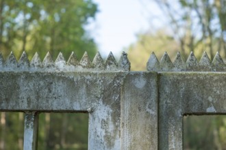 Borken, NRW, Germany, Weathered concrete fence with sharp triangular points is protecting a forest