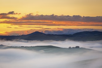 Farmhouse near in Val d'Orcia at foggy dawn, Tuscany, Italy
