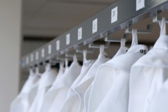 White coats in the laboratory