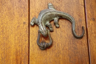 Artful metal door knocker in the shape of a lizard on a wooden door, Old Town, Cartagena, Colombia