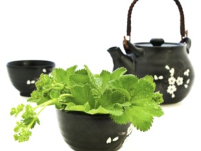 Tea Set with Greens over the White Background Daugavpils, Latvia