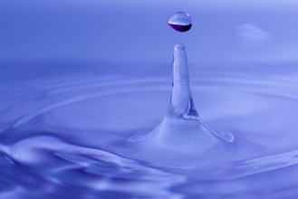 Macro of a single drop of water on a blue background
