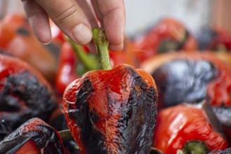 Red peppers roasting on a wood-fired stove in preparation for making ajvar, a traditional serbian