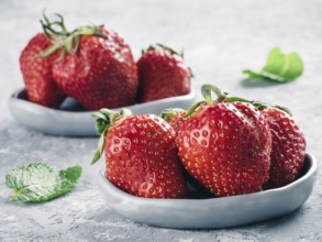 Fresh ripe strawberries in small trendy plate. Strawberry in gray plate and mint leaves on gray