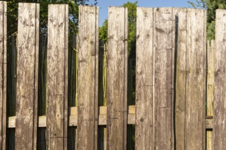 Borken, NRW, Germany, Sunlight illuminating old wooden fence protecting garden in summer