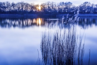Mill pond in Rostock