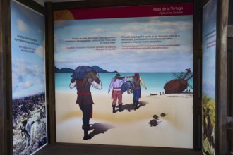 Poster of the Ruta de las Tortugas, history of the tortoises on Galapagos, sailors bring the