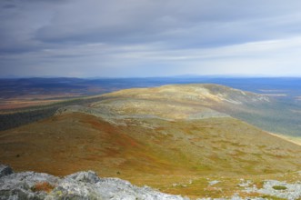 Hovärken