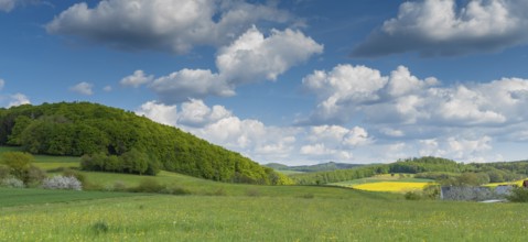 Spring holiday in the Rhön near Morles