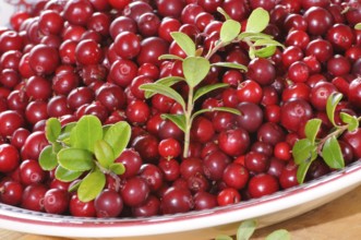 Fresh cranberries on a plate