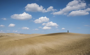 Beautiful idyllic farmland with meadow field at Tuscany area near Pienza touristic village, Italy