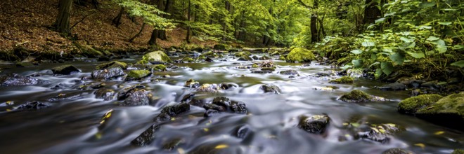 Autumn magic in the Georgewitzer Skala/ Löbauer Wasser 5