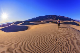 Woman - photographer is among the gently sloping sand dunes. Sunrise in the orange sands of the