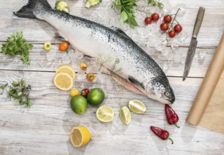 Raw salmon fish in ice and vegetables on white table. Baking paper