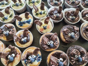 Lovingly decorated cupcakes with funny faces