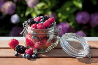 Forest fruit diversity in glass at garden outdoor
