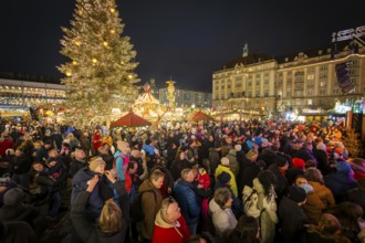 The Dresden Striezelmarkt is a Christmas market in Dresden. It has been held in Advent since 1434,